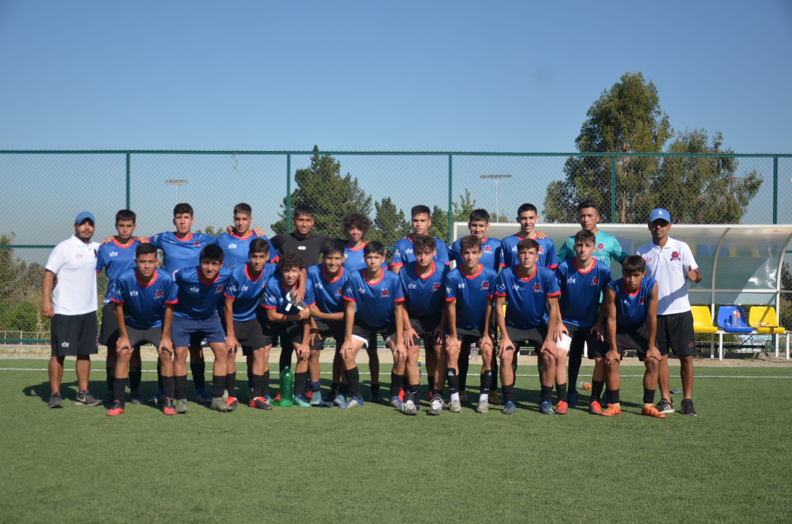 Profesional